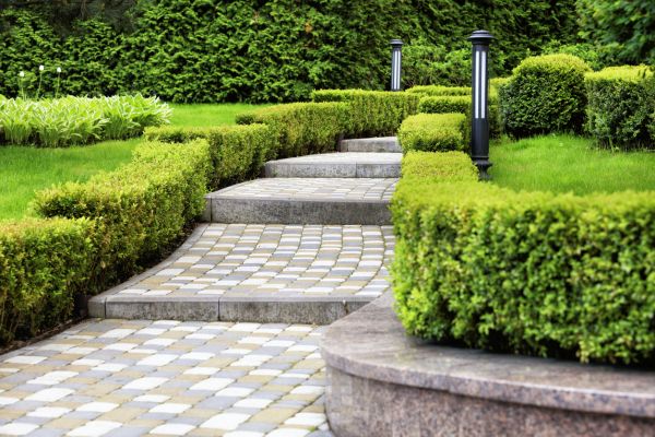 Backyard Remodeling in San Clemente