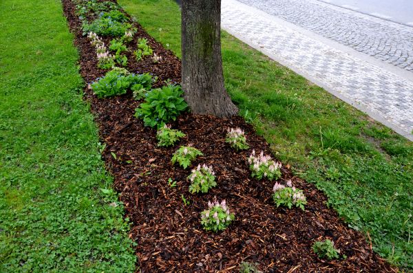 Mulch Replacement Service in San Clemente