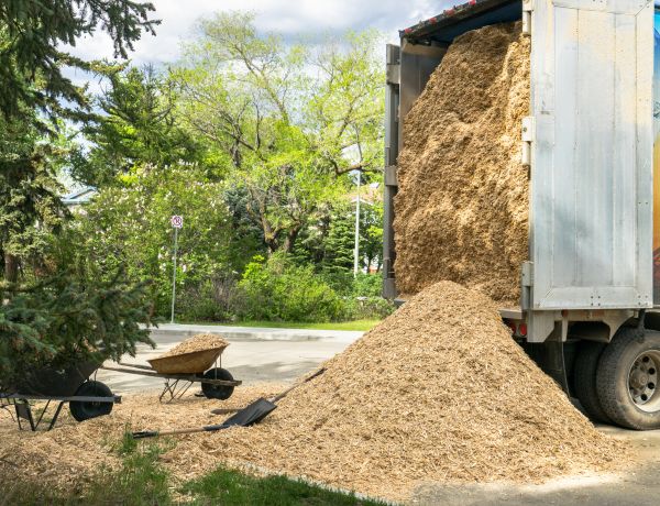 Wood Chips Delivery in San Clemente