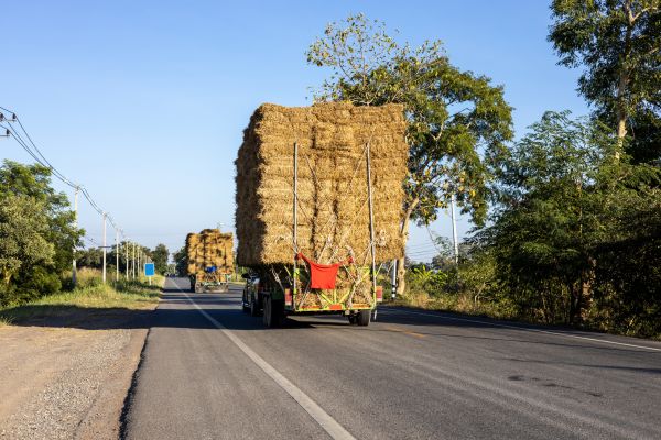 Pine Straw Delivery in San Clemente