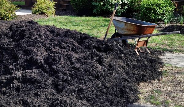 Black Mulch Delivery in San Clemente