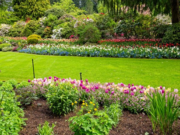 Residential Landscape Design in San Clemente