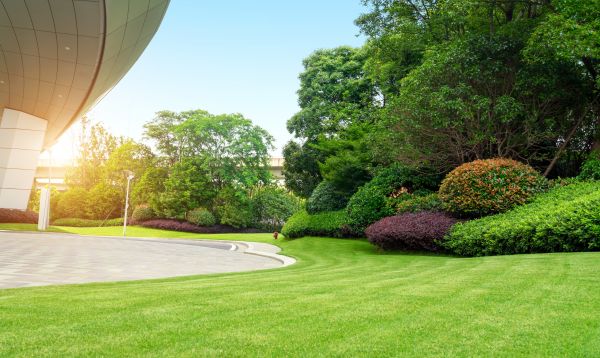 Business Landscape Design in San Clemente