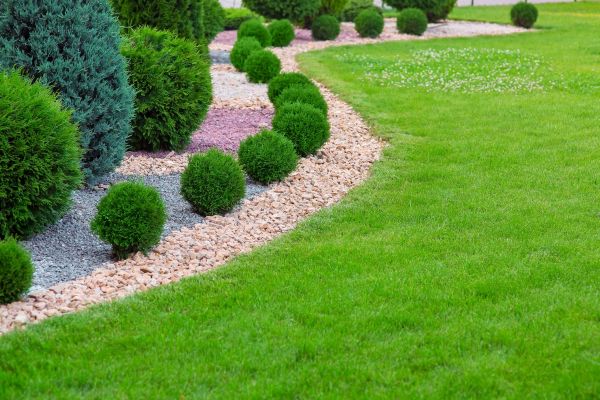 Edging Stones Installation in San Clemente