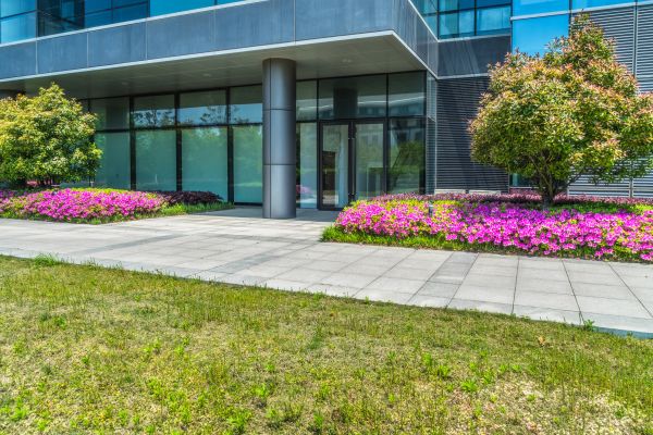 Commercial Gardening in San Clemente