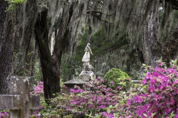 Cemetery Landscaping in San Clemente