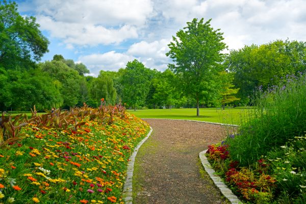 Park Landscaping in San Clemente