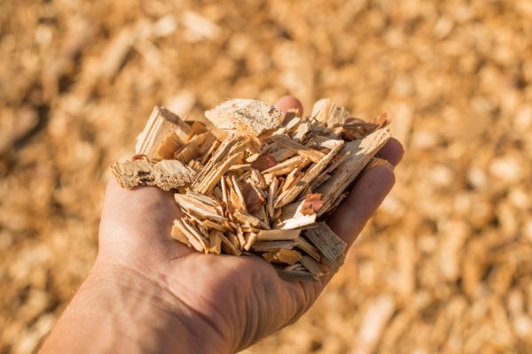 Wood Chips Spreading in San Clemente
