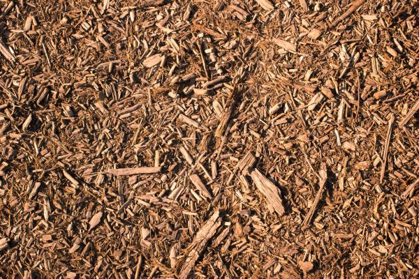 Wood Chips Removal in San Clemente