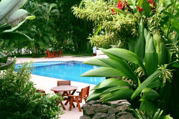 Pool Area Landscaping in San Clemente