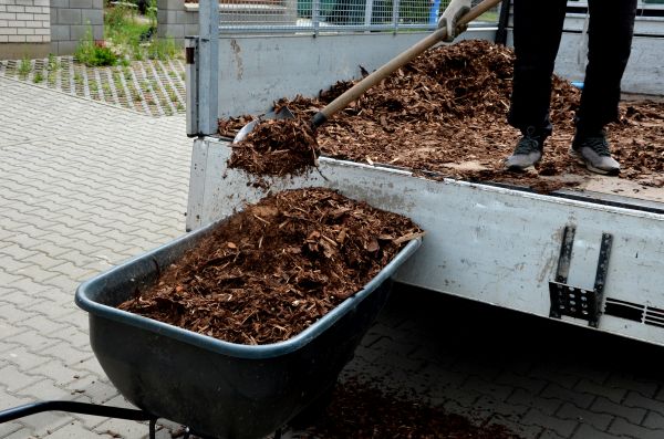 Cedar Mulch Delivery in San Clemente