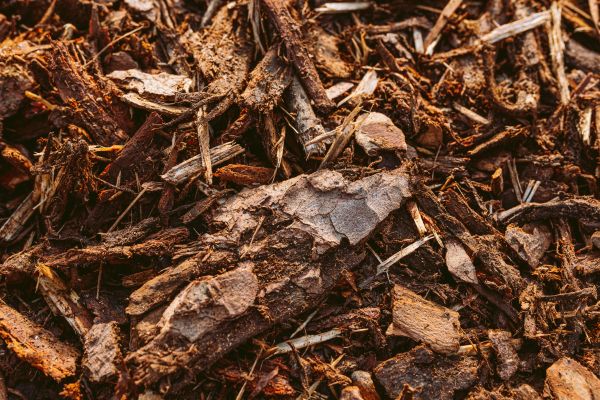 Bark Mulch Delivery in San Clemente
