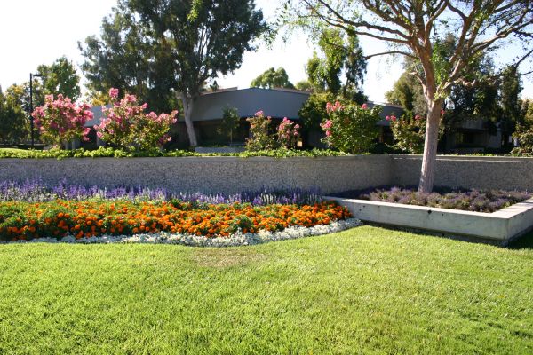 Commercial Landscape Service in San Clemente