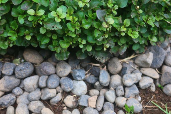 River Stone Installation in San Clemente