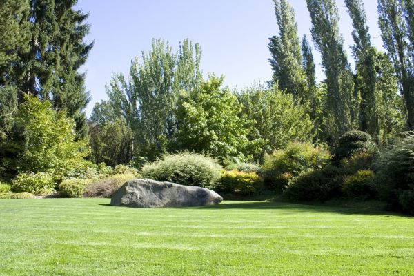 Yard Enlargement in San Clemente