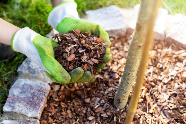 Tree Bark Delivery in San Clemente