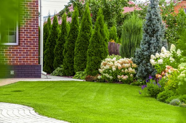 Spring Landscaping in San Clemente