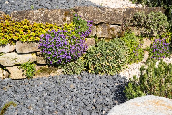 Landscaping Rocks Installation in San Clemente