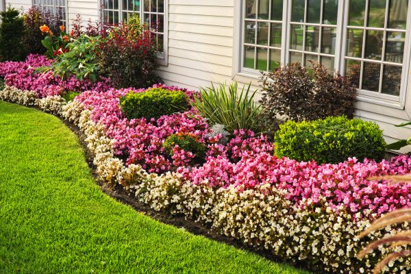 Garden Landscape Design in San Clemente