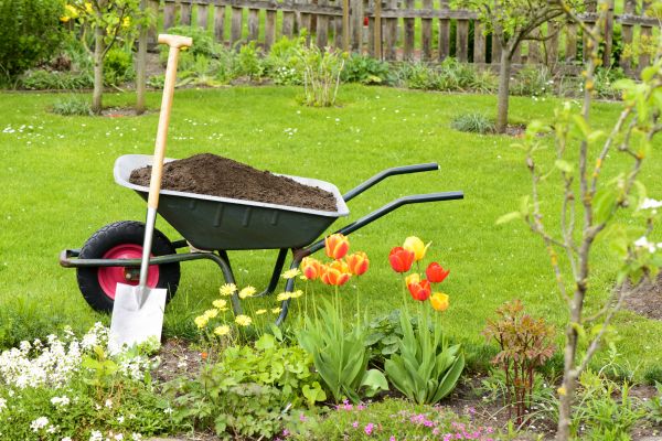 Spring Yard Renovation in San Clemente