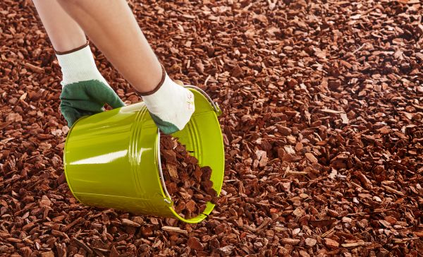 Wood Chip Landscaping in San Clemente