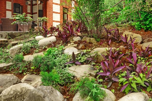 Rock Garden Landscaping in San Clemente