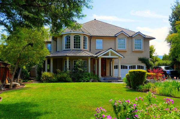 Large Yard Landscaping in San Clemente