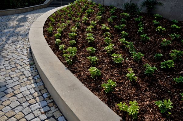 Commercial Mulching in San Clemente