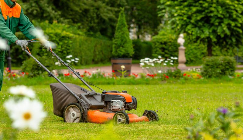 Lawn Repair Service detail